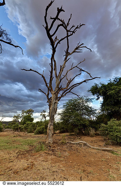 Ostafrika Landschaft Fluss Naturschutzgebiet typisch