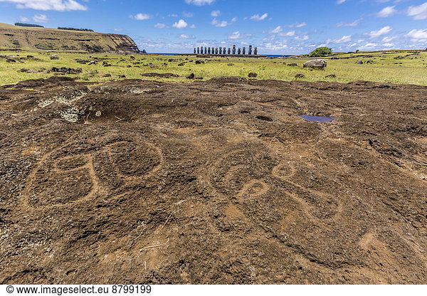 Osterinsel Rapa Nui Lava Zeremonie reparieren Höhlenmalerei schnitzen Raps Brassica napus UNESCO-Welterbe Chile Moai Südamerika