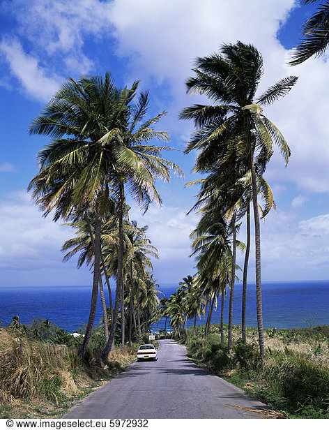 Ostküste nahe Bathsheba  Barbados  Antillen  Karibik  Mittelamerika