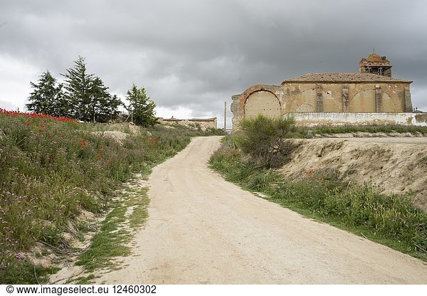 Otero de Sariegos ruined village in Villafafila Zamora Castile Leon Spain.