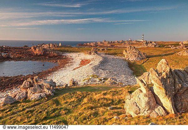 Ouessant island,  Brittany,  France. The point most westerly of the island at sunset. In background,  you can see the Creach lighthouse,  one of the most powerful lighthouses in the world.