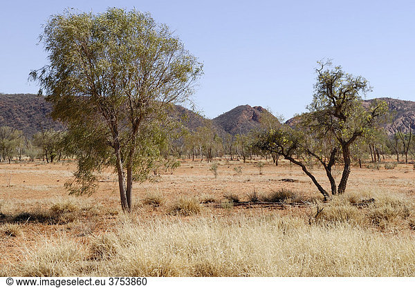 Outback-Landschaft Ebene in den East Macdonnell Ranges Northern Territory Australien