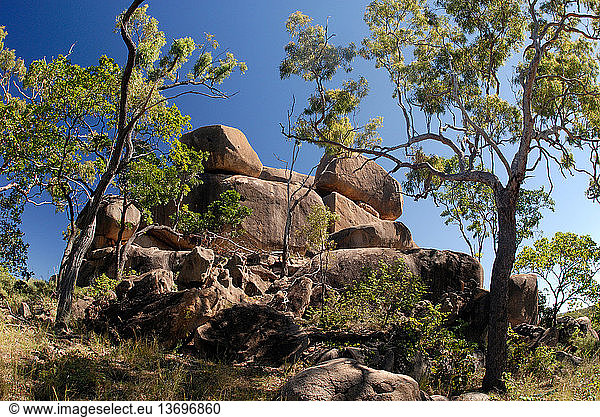 Outcroppings of granite such as these weathered boulders are a common feature in the tropical savannah country of northeastern Australia. Ootann  North Queensland  Australia.