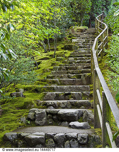 Outdoor Stone Stairway