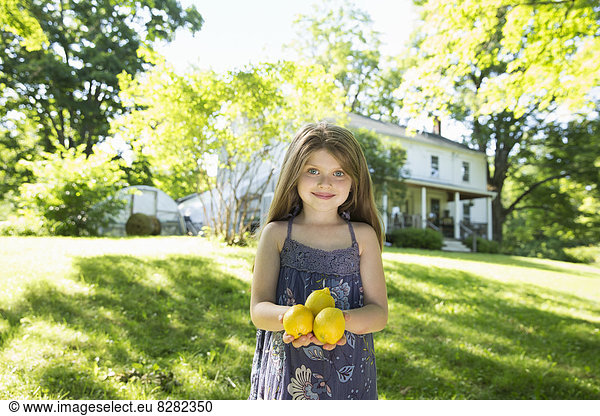 Outdoors In Summer. On The Farm. A Girl In The Garden Holding Three Large Lemon Fruits In Her Hand.