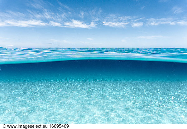 over-under image of surface and clear water in hawaii