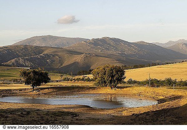Overberg  Caledon  Westkap  Südafrika. Dez2019. Überblick über ein Wasserloch auf einer Farm in der Overberg-Region bei Caledon  Westkap  Südafrika.
