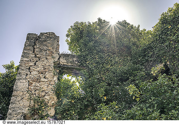 Overgrown ruin in Tourrette-Levens  France