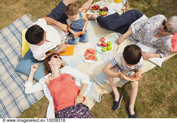 Overhead-Ansicht Mehrgenerationen-Familie genießt Sommerpicknick