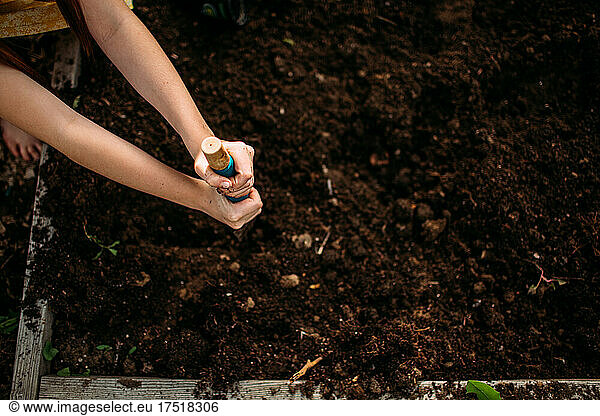 Overhead of young girl digging in a garden plot