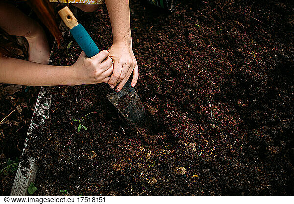 Overhead of young girl digging in dirt outside