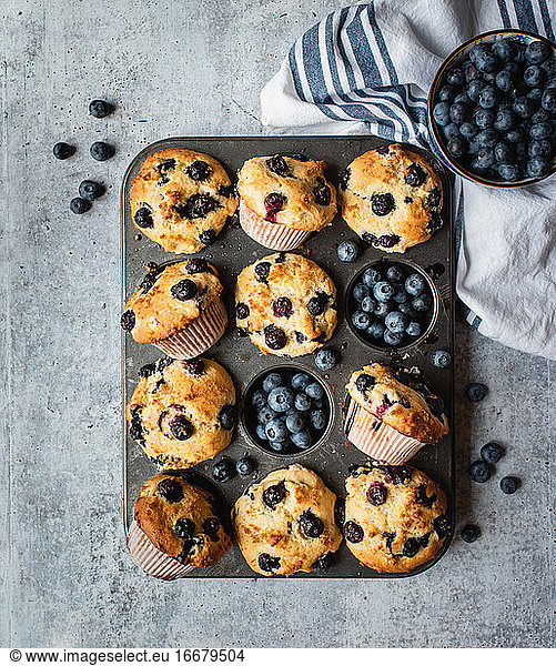 Overhead view of blueberry muffins in baking tin on concrete counter.