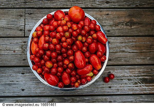 Overhead view of bowl of tomatoes