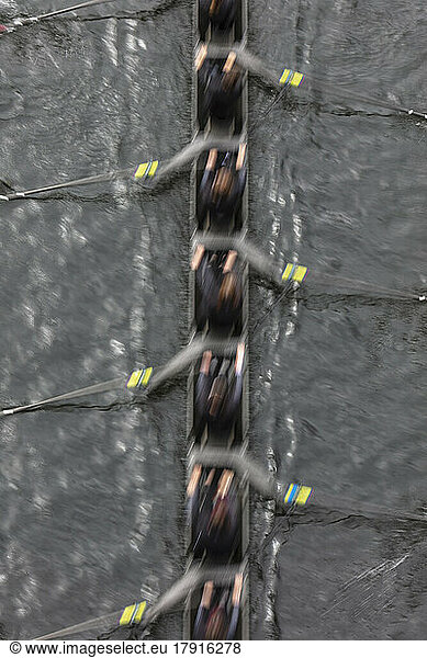 Overhead view of female crew racers rowing in an octuple racing shell  an eights team.