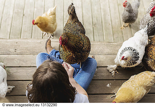 Overhead view of girl playing with hens in free range