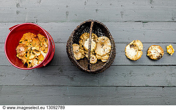 Overhead view of harvested mushrooms in containers on wooden table