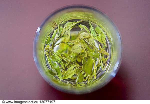 Overhead view of herbs with water in drinking glass on table
