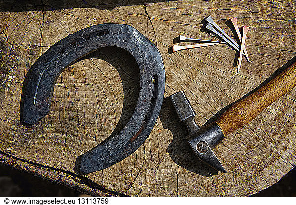 Overhead view of horseshoe with hammer and nails on tree stump