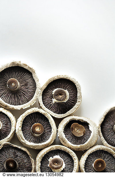 Overhead view of portobello mushrooms on white background