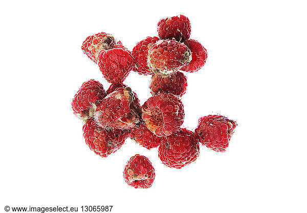 Overhead view of rotten raspberries over white background