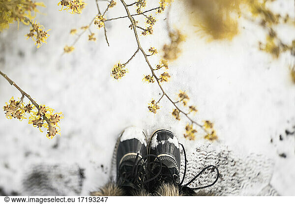Overhead View of Snow Boots on Snowy Ground with Yellow Flowers
