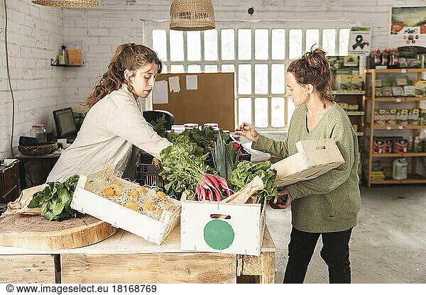 Owner assisting customer buying vegetables in greengrocer shop