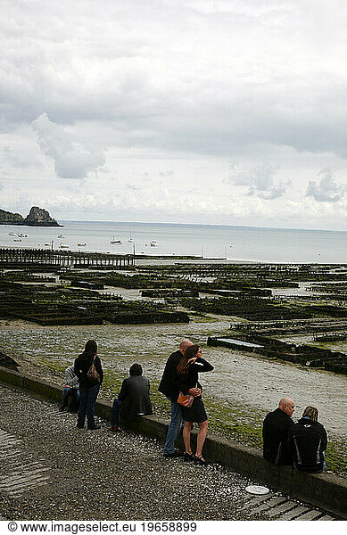 Oyster farm in Cancale  Brittany  France.