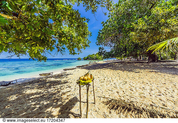 Ozeanien  Papua-Neuguinea  Trobriand-Inseln  Insel Kiriwina (früher Boyowa)  Früchte am tropischen Strand