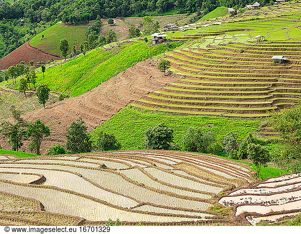 Pa Bong Piang rice terraces landscape