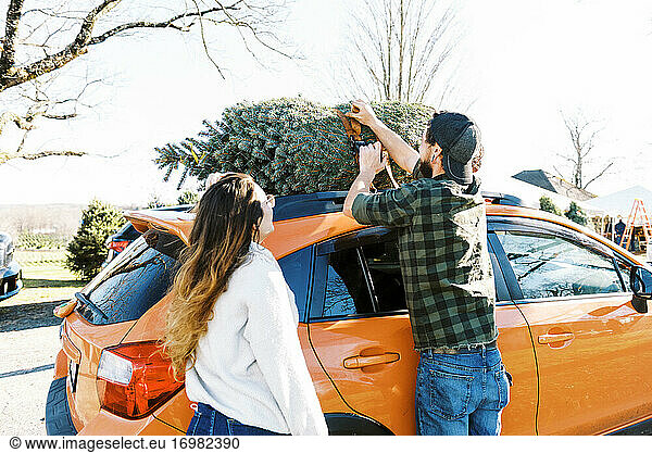 Paar Befestigungsgurte zur Vorbereitung des Weihnachtsbaums für den Transport im Auto
