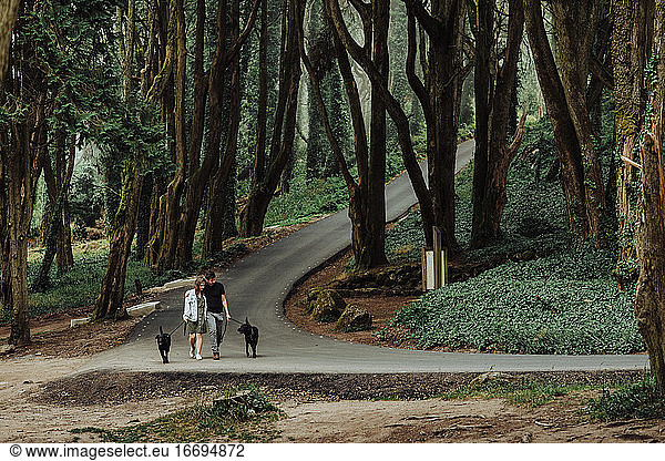 Paar  das mit angeleinten Hunden eine Straße im Wald entlang geht  Weitwinkel