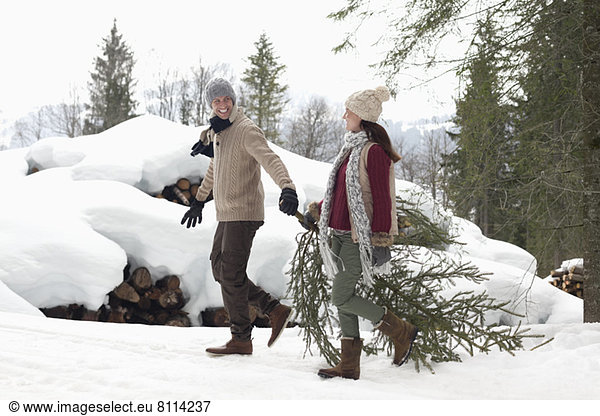 Paar schleppt frischen Weihnachtsbaum in der Nähe von schneebedeckten Holzhaufen