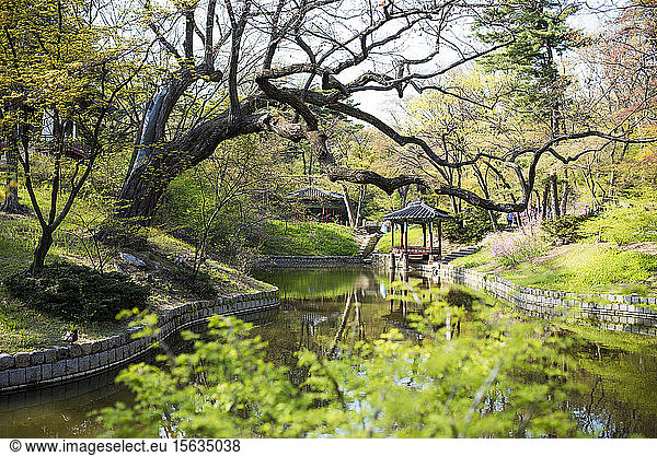 Pagoda in the Secret Garden of Changdeokgung Palace  Seoul  South Korea