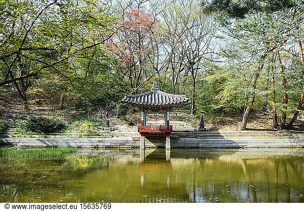 Pagoda in the Secret Garden of Changdeokgung Palace  Seoul  South Korea