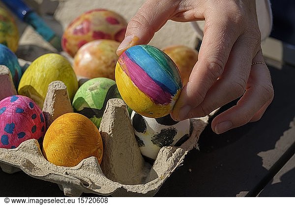 Painted easter eggs in an egg box  painting easter eggs  Bavaria  Germany  Europe