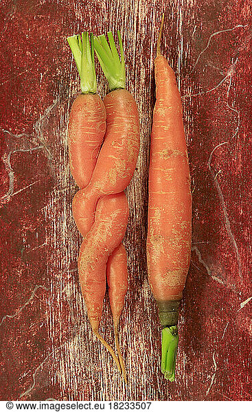 Pair of intertwined carrots and single one
