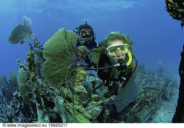 Pair of scuba divers on wreckage  Key Largo