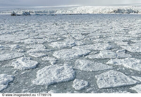 Palanderbukta Bucht  Packeismuster  Gustav Adolf Land  Nordaustlandet  Svalbard Archipel  Norwegen  Europa
