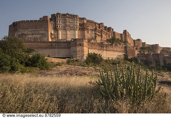 Palast  Schloß  Schlösser  Festung  Asien  Indien  Jodhpur  Rajasthan