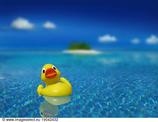 Palawan Islands - rubber duck.