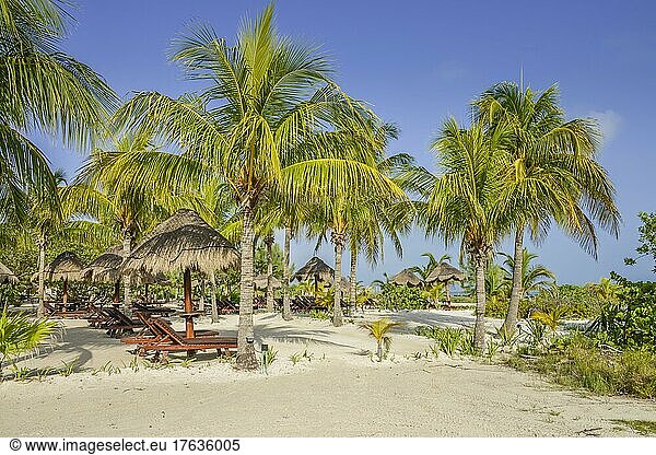 Palm Beach  Isla Holbox  Quintana Roo  Mexico  Central America