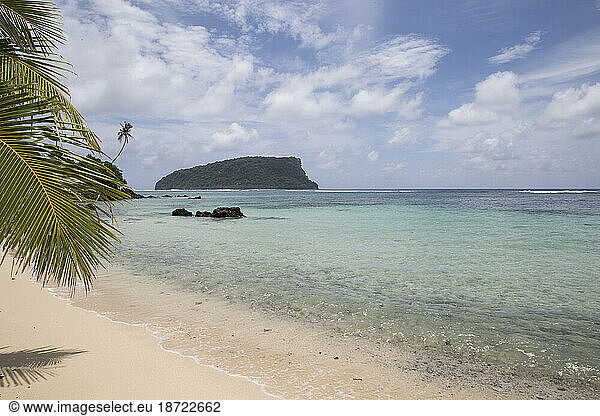 Palm tree on exotic white sand beach of Samoa