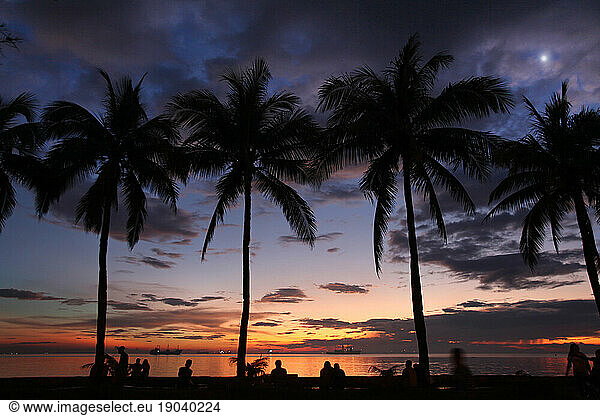 Palm trees against sky at sunset  Manila  Philippines