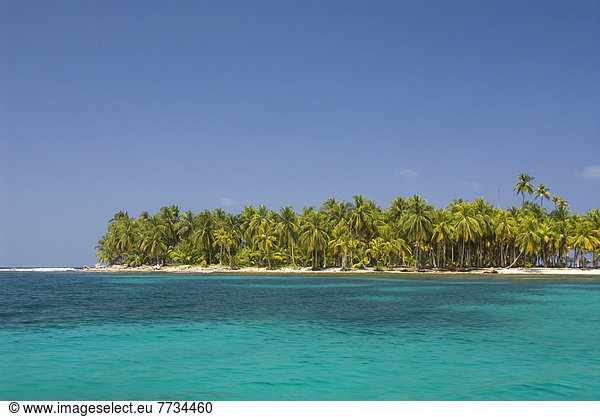 Palm Trees Along The Green Water With Blue Sky  Arridup Island  San Blas Islands  Panama