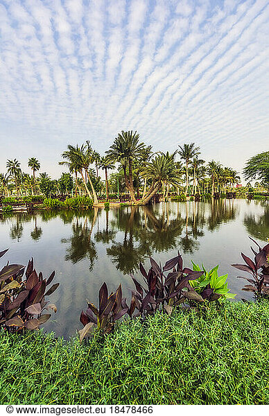 Palm trees reflecting on pond under sky