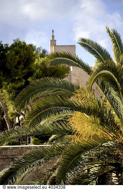 Palm trees  wall and Almudaina Palace  Palma de Mallorca Spain  Balearic Islands  Europe
