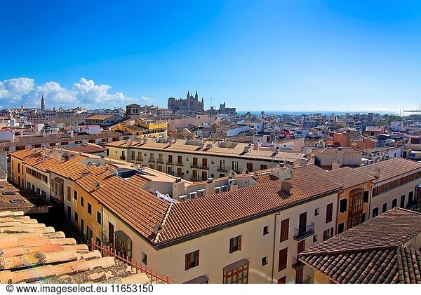 PALMA DE MALLORCA  BALEARIC ISLANDS  SPAIN - MARCH 6  2017: Sunny city view over Old Town and Cathedral La Seu on March 6  2017 in Palma de Mallorca  Balearic islands  Spain.