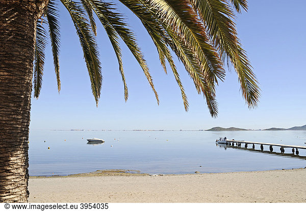 Palme  Ufer  Idylle  Boot  Bootssteg  Lagune  Binnenmeer  Los Urrutias  Mar Menor  La Manga  Murcia  Spanien  Europa