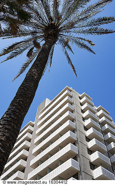 Palme vor einem Hochhaushotel