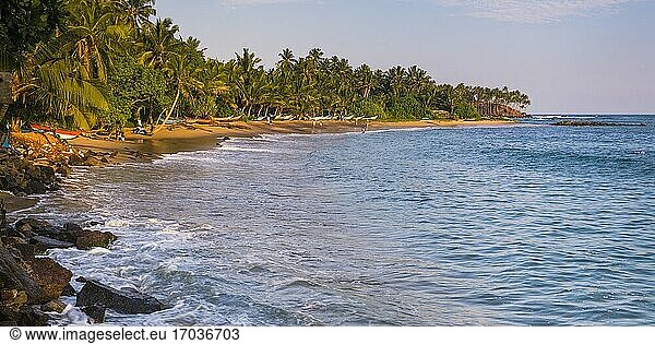 Palmen am Strand von Mirissa in der Abenddämmerung  Südküste von Sri Lanka  Asien